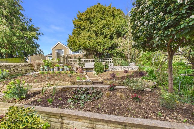 Quindene,, Chapelfields, Stroud photo 3