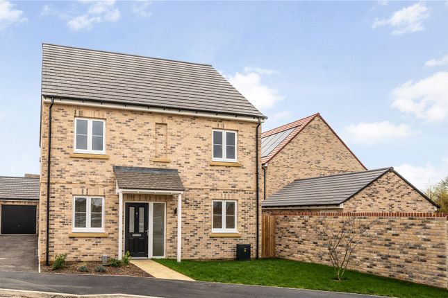 Thumbnail Detached house for sale in Woodlands Chase, Witchford, Main Street, Witchford