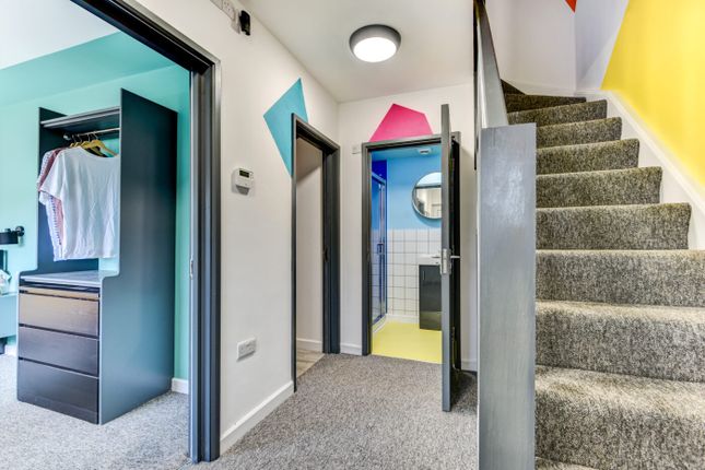 Bright, Freshly Decorated Communal Hallway With Ca...