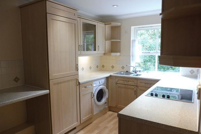 31, Kent photo 3
