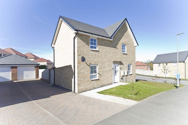 Thumbnail Detached house for sale in Reedston Road, Hartlepool