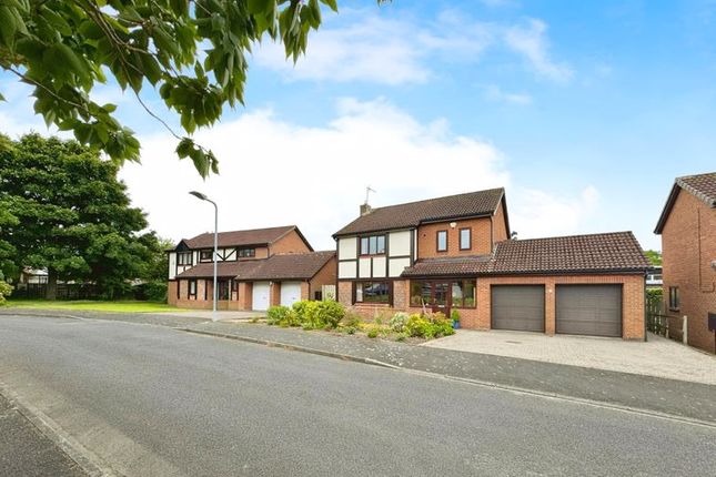 Thumbnail Detached house for sale in Ogle Avenue, Morpeth