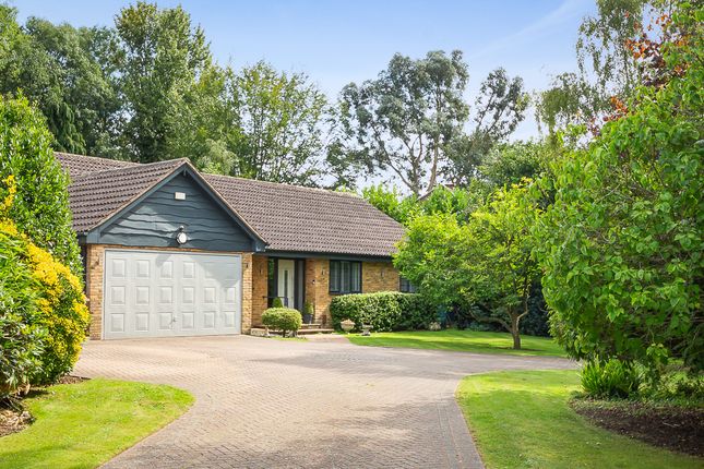 Thumbnail Bungalow for sale in Shelvers Way, Tadworth