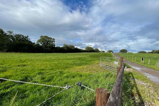 Equestrian property for sale in Peterston-Super-Ely, Cardiff
