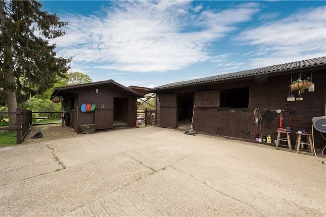 Stables