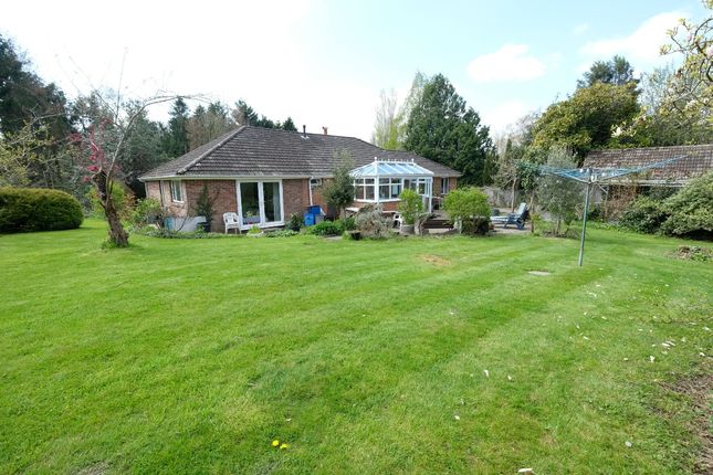Detached bungalow for sale in Eling Hill, Totton