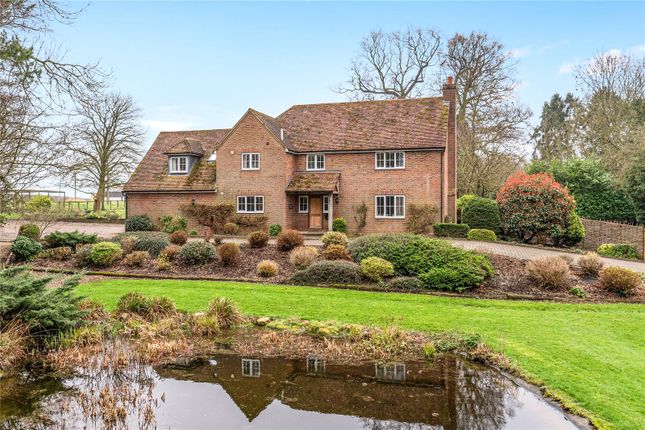 Thumbnail Detached house for sale in Youngsbury, Wadesmill, Hertfordshire