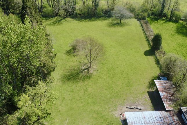 Fronheulog, Llangeitho, Tregaron photo 4
