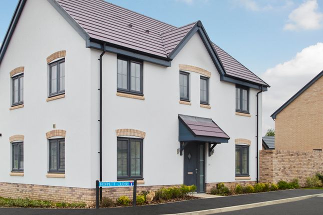 External Photography