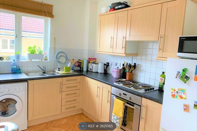 Ridgewell Avenue, Chelmsford photo 2