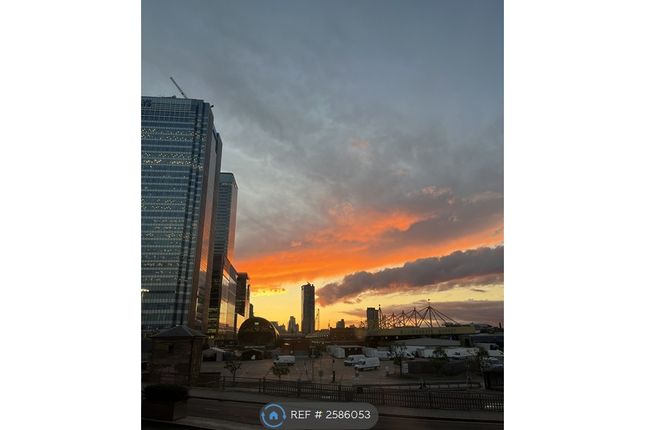 View From The Bedroom