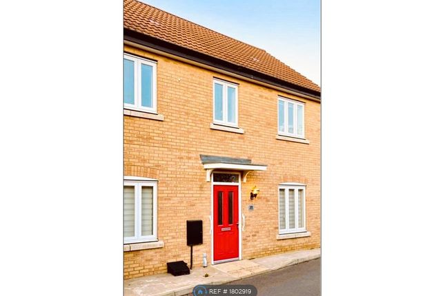 Thumbnail Semi-detached house to rent in Cooper Road, Peterborough