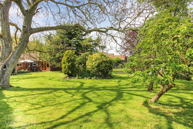 Detached bungalow for sale in Mill Road, Thorpe Abbotts, Diss