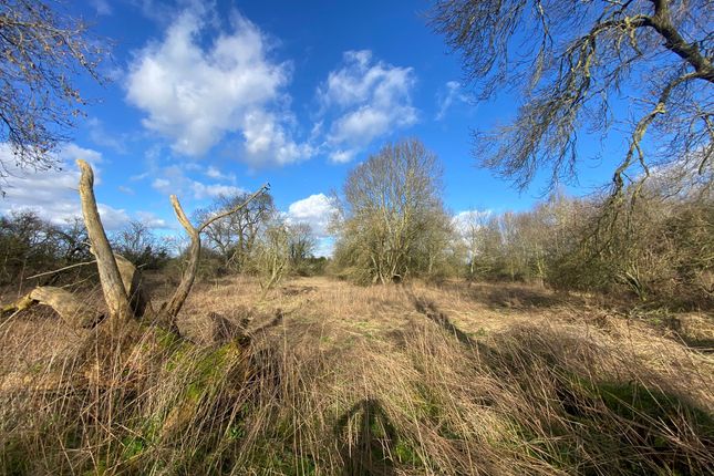 Thumbnail Land for sale in Warners Green, Roke, Wallingford