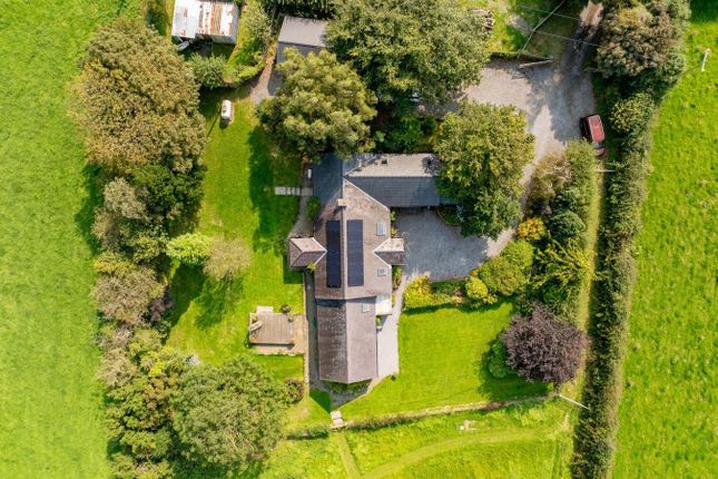 Bryngog, Nebo, Llanon photo 2