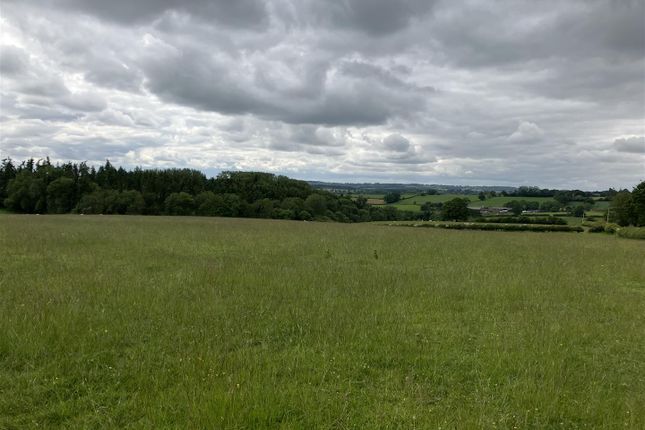 44.06 Acres, Saltmarshe, Bromyard photo 3
