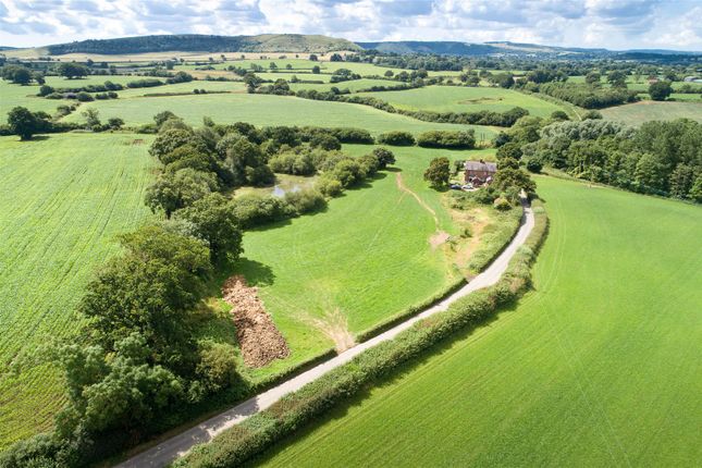 Thumbnail Land for sale in Land At Peggs Farm, Farrington, Blandford