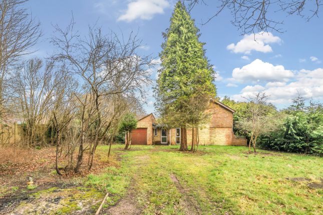 Land for sale in Boyneswood Lane, Medstead, Hampshire