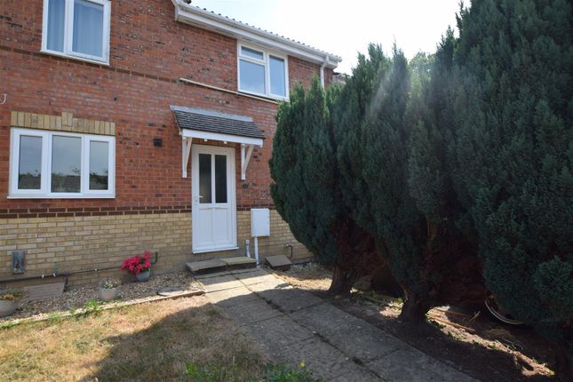 Thumbnail Terraced house to rent in Mulberry Walk, St. Leonards-On-Sea