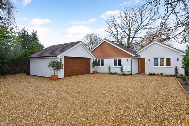 Thumbnail Detached bungalow for sale in Mead Close, Mead Road, Cranleigh