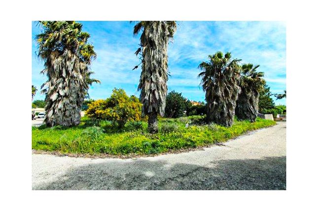 Thumbnail Land for sale in São Clemente, Loulé, Faro