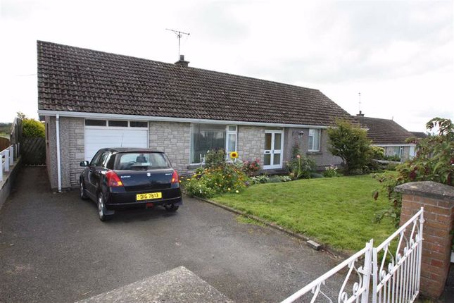 Ulster Property Sales Ballynahinch Bt24 Property To Rent From