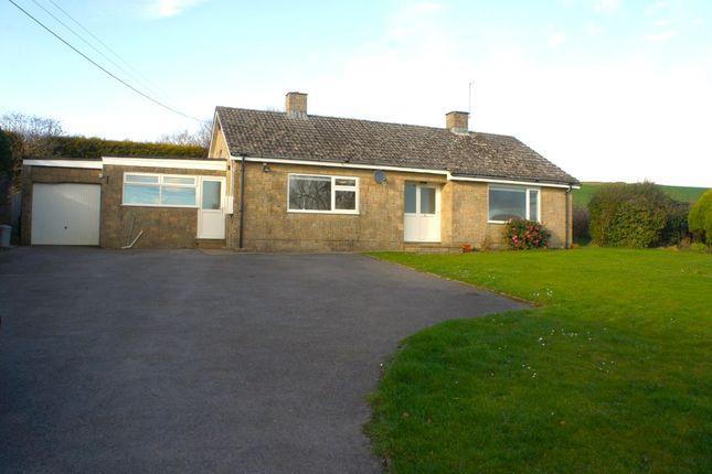 Thumbnail Bungalow to rent in Seaborough, Beaminster