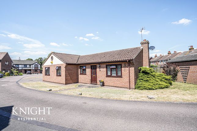 Thumbnail Detached bungalow for sale in Springfields Drive, Colchester