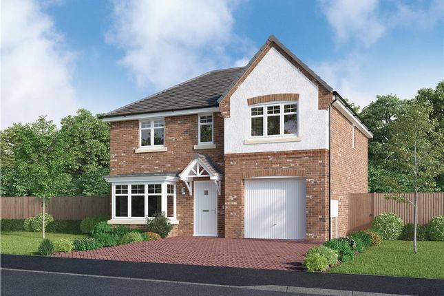 Thumbnail Detached house for sale in "The Charleswood" at Grayling Way, Ryton