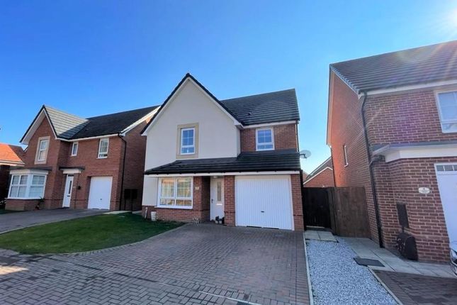 Thumbnail Detached house for sale in Appleby Close, Washington