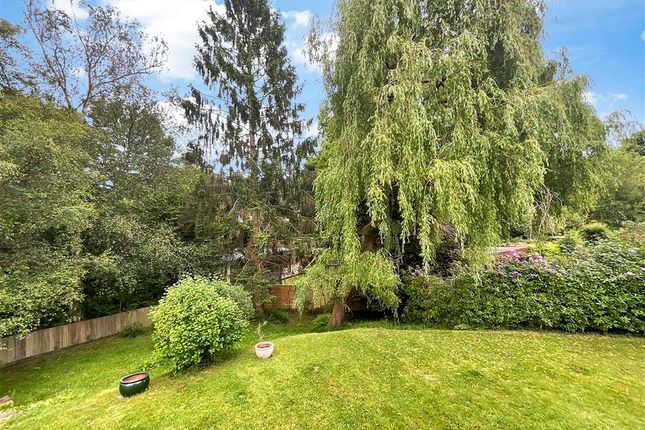 Rear Garden View