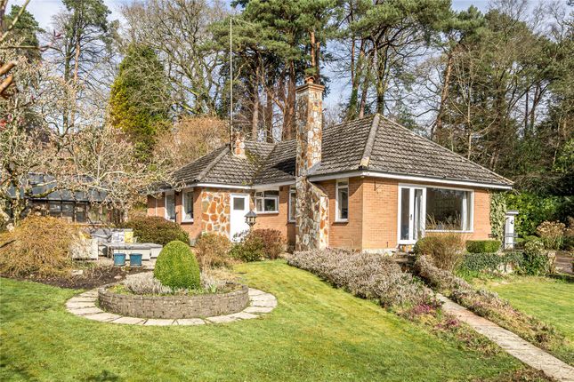Bungalow for sale in West Hill, Ottery St. Mary, Devon