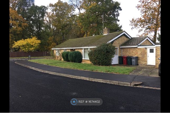 Thumbnail Bungalow to rent in Autumn Close, Emmer Green, Reading