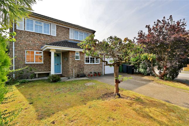 Thumbnail Detached house for sale in Arethusa Way, Bisley, Woking, Surrey