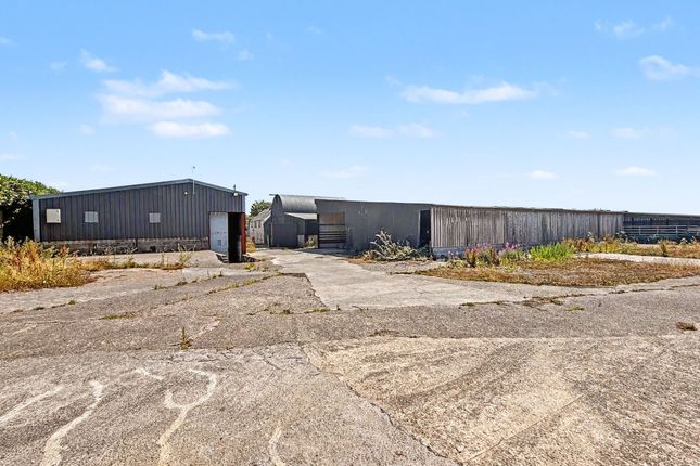 Bwlchygroes Shop & Farm Feeds, Llanfyrnach photo 4