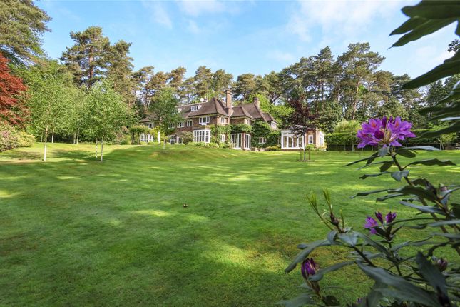 Detached house for sale in Swinley Road, Ascot