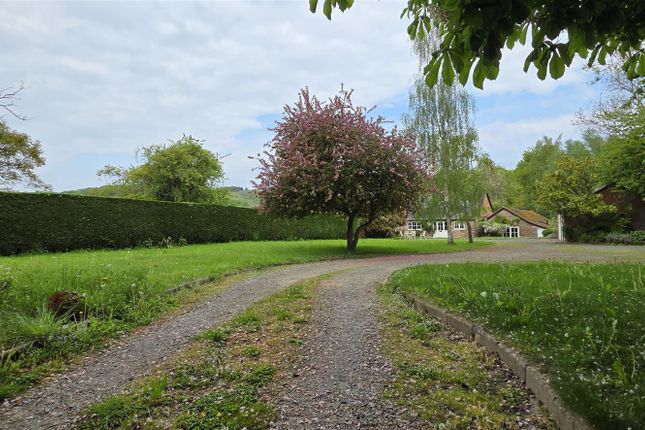Driveway.Jpg
