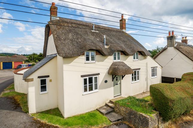 Cottage for sale in The Green, Beaminster