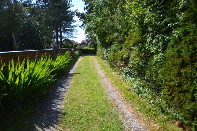 The Hawthorns, Bradshaw Lane, Ormskirk photo 4