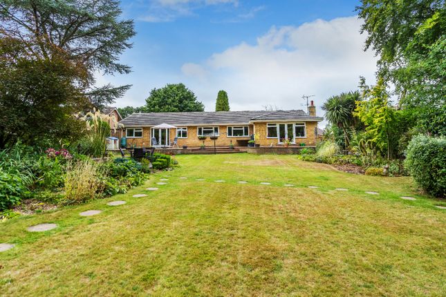 Thumbnail Property for sale in Beacon Hill, Dormansland, Lingfield