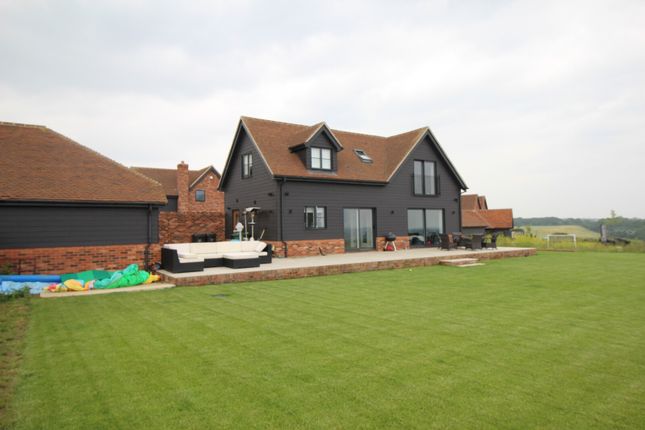 Rear Elevation