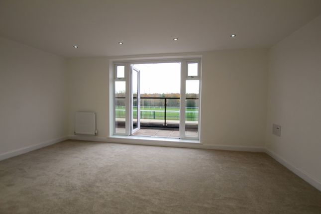 16, Fairstone, Newbury photo 4