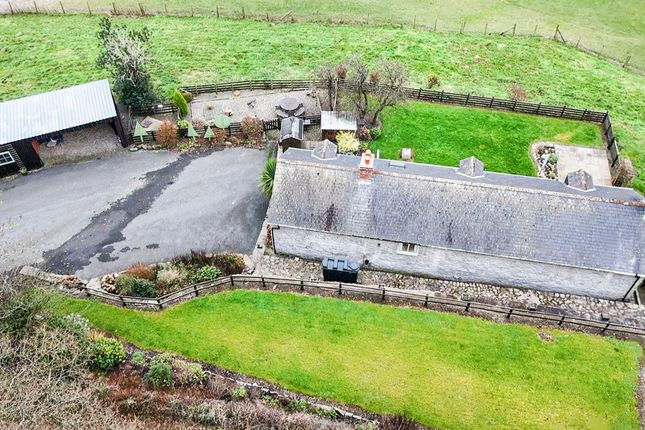 Rear Gardens