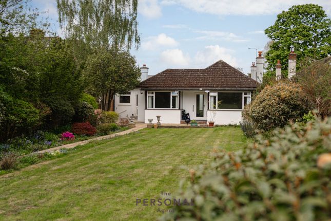 Bungalow to rent in Chestnut Avenue, Epsom