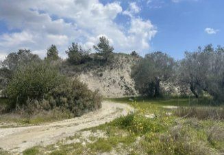 Land for sale in Pentakomo, Cyprus