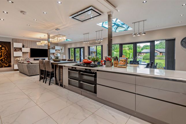 Kitchen/Super Room