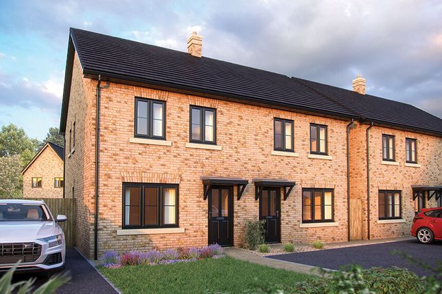 Semi-detached house for sale in "The Holly" at Cotterstock Road, Oundle, Peterborough