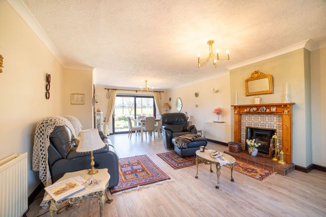 18 Farm Lane, Deal photo 3