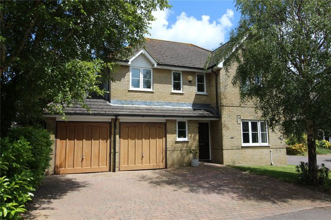 Thumbnail Detached house for sale in Forest Edge, Ashley, New Milton, Hampshire