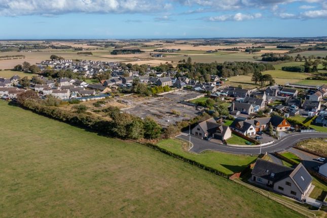 Greens of Gaval, Fetterangus, Aberdeenshire  photo 2